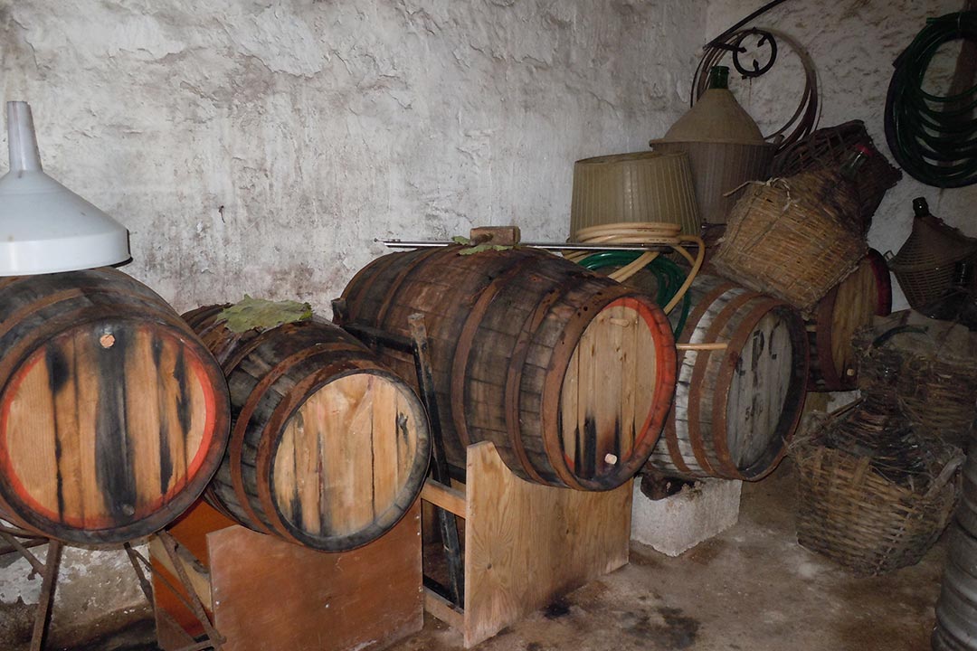 Botti di vino