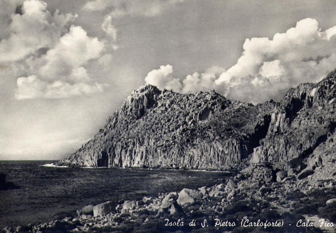 cala-fico