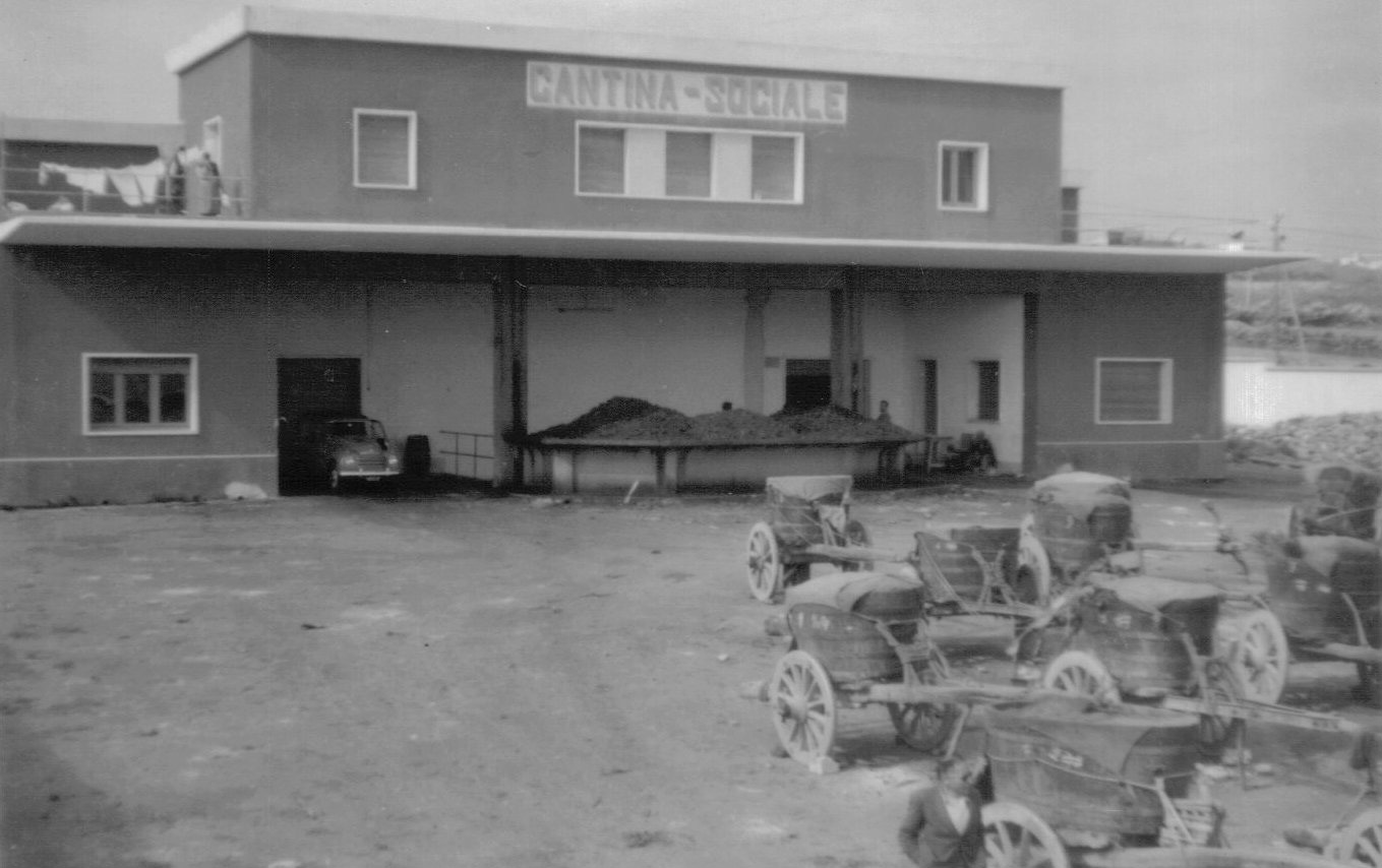 Cantina sociale