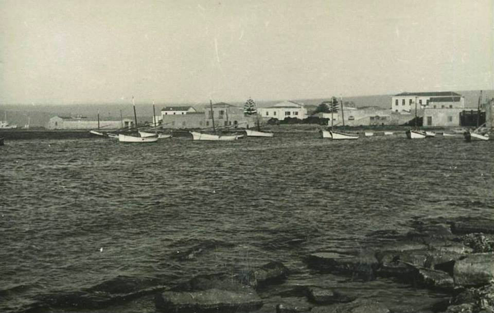 Mare