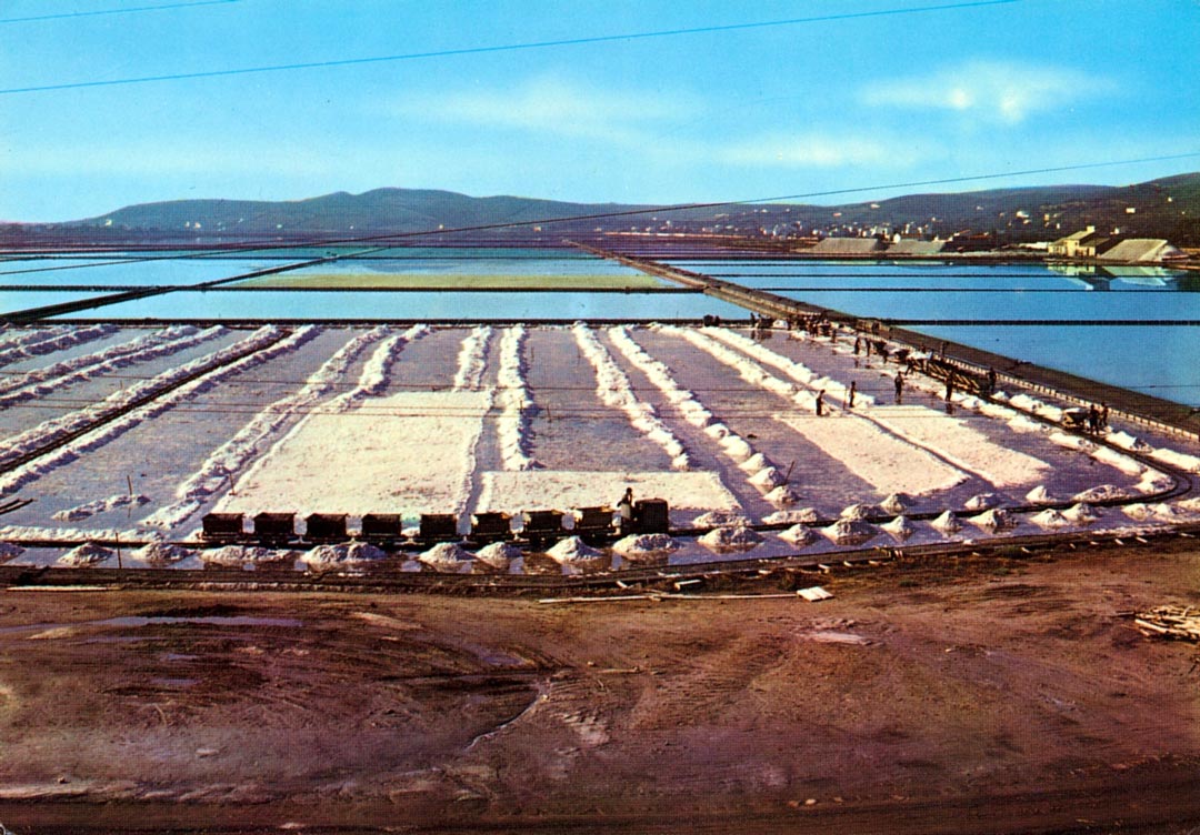Saline 1960