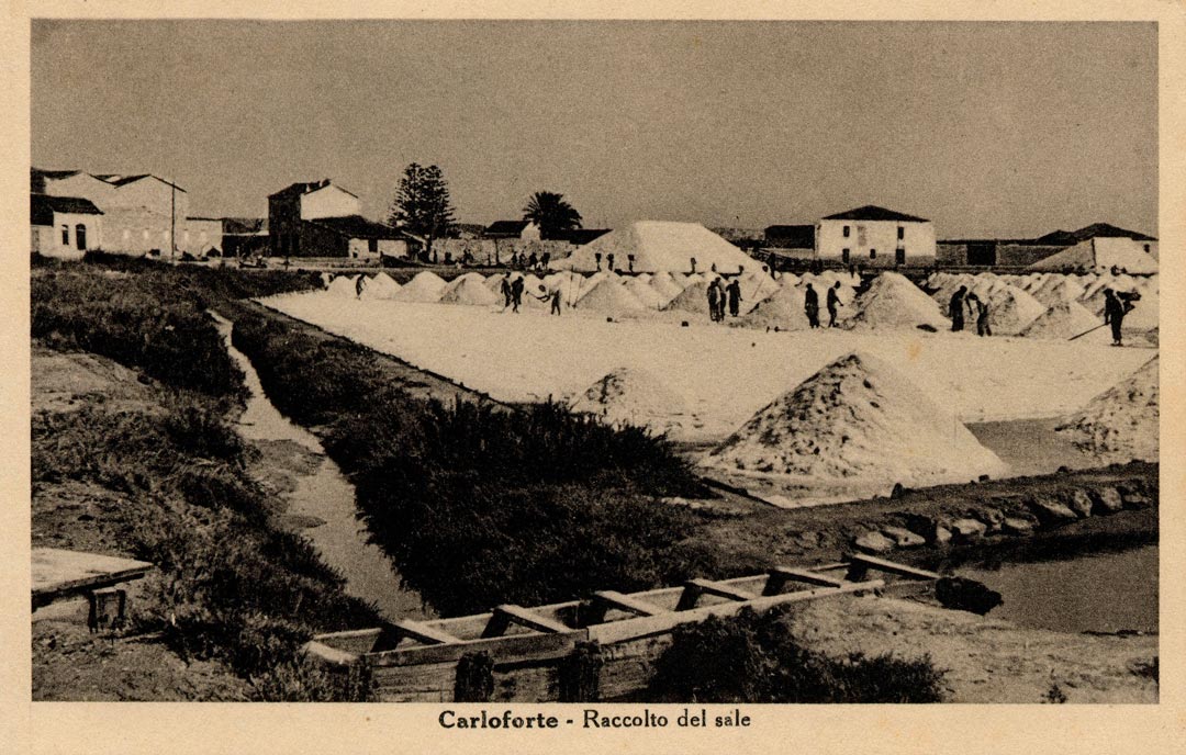 Raccolta del sale 1920