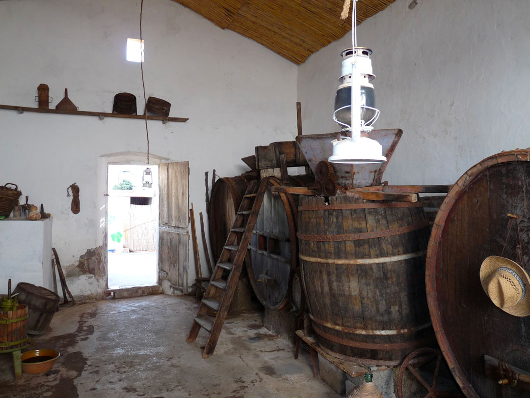 Scatto cantina