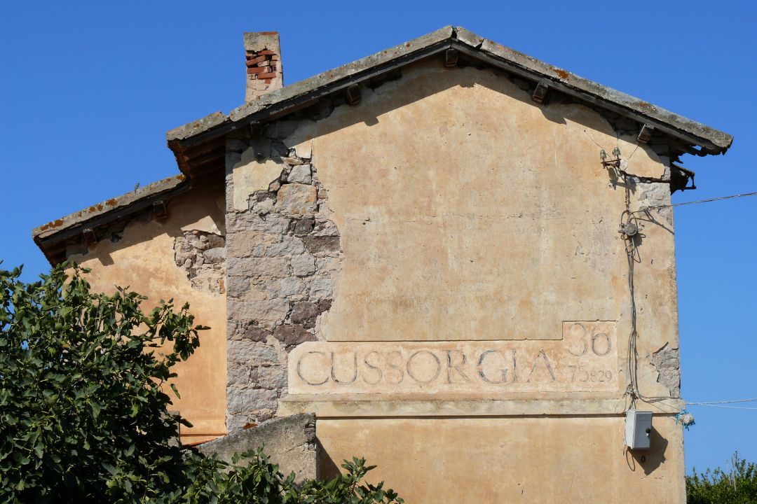 Cussorgia