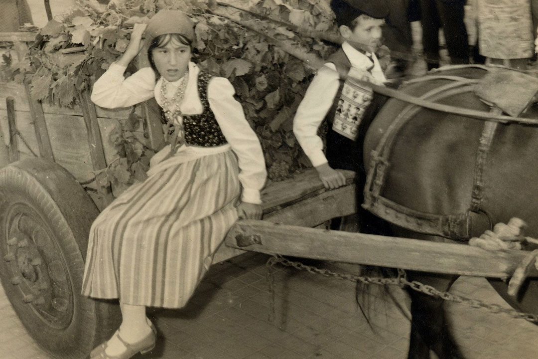 Festa dell'uva 1966