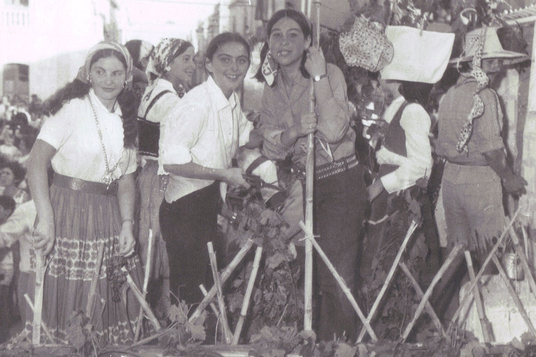 Festa dell'uva