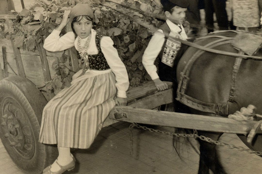 Festa dell'uva, 1966