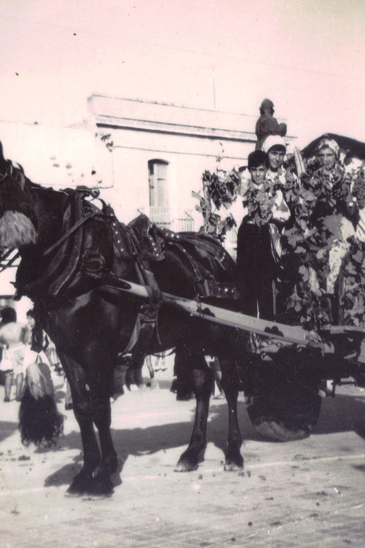 Carro della festa dell'uva
