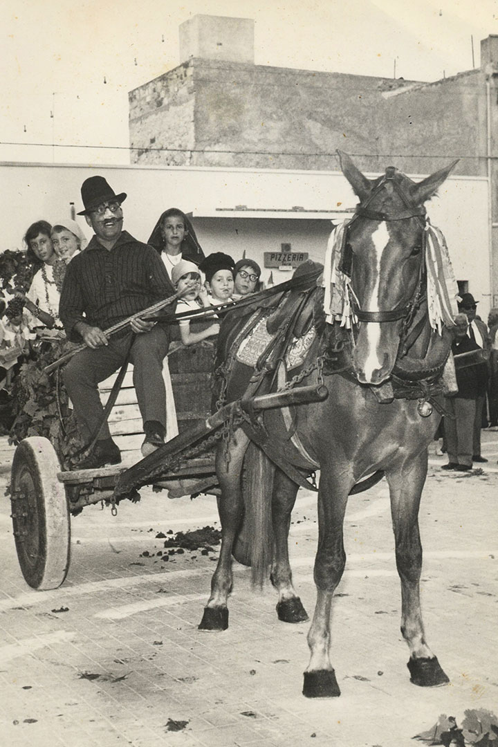 Festa dell'uva, 1971
