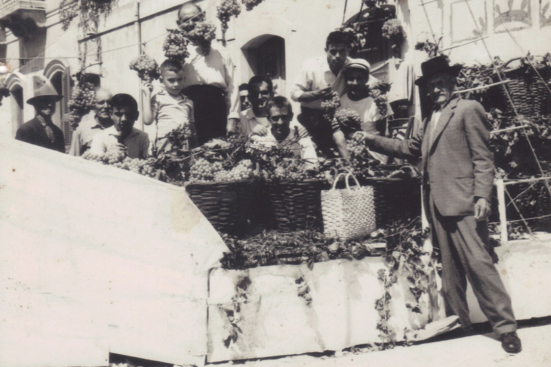 Festa dell'uva
