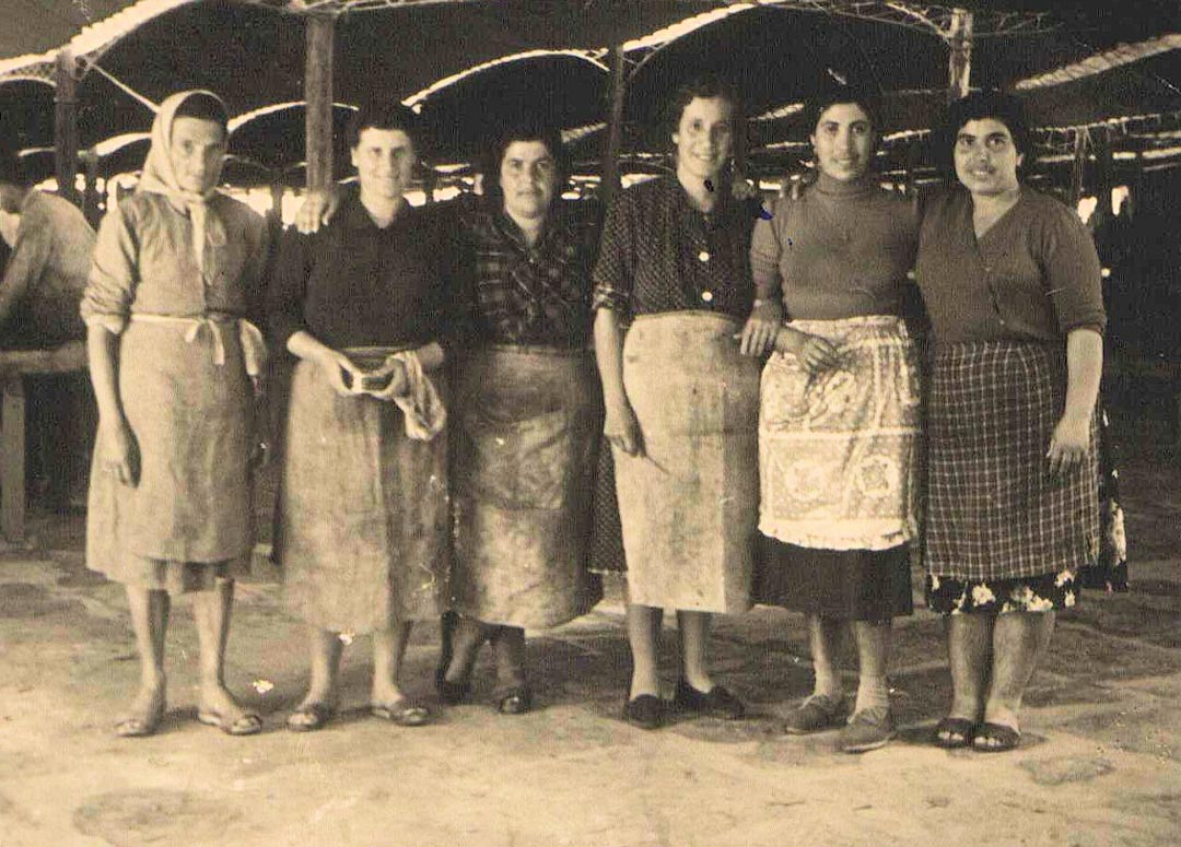 gruppo-tonnarotte
