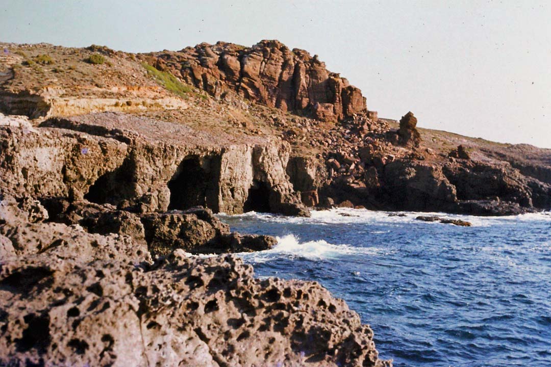 Dettaglio scogliera