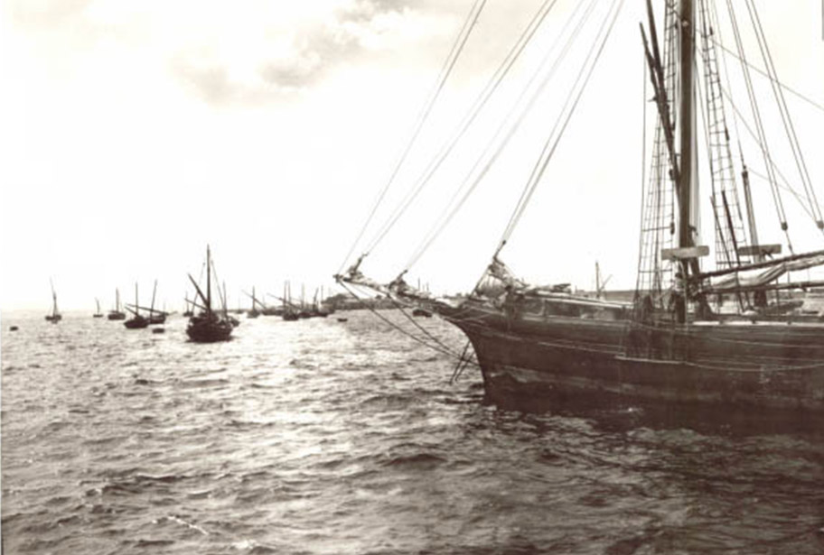 il-porto-visto-dal-molo-alinari-primi-1913