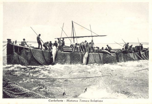 isola-piana-mattanza-(anni-1930)