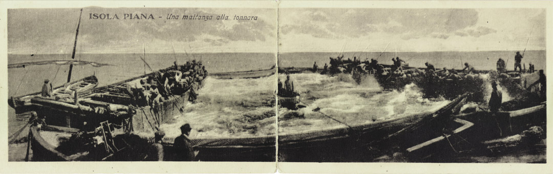 isola-piana-mattanza