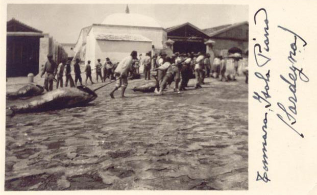 isola-piana-sbarco-dei-tonni-(primi-1900)