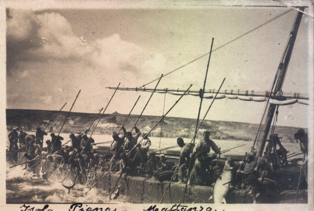isola-pianamattanza