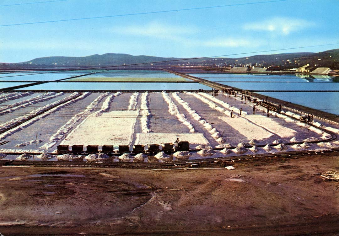 le-saline-1960