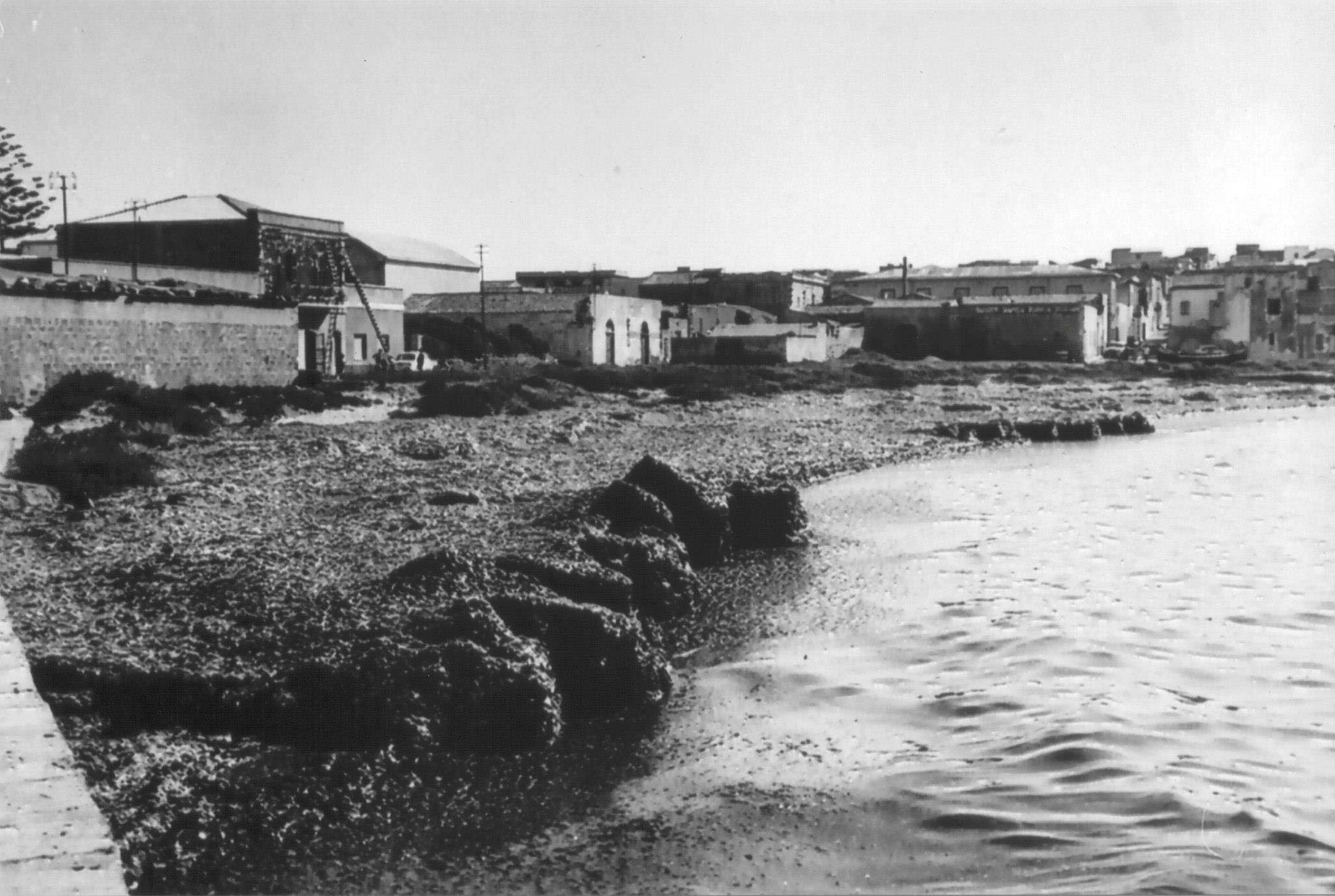 Lungomare