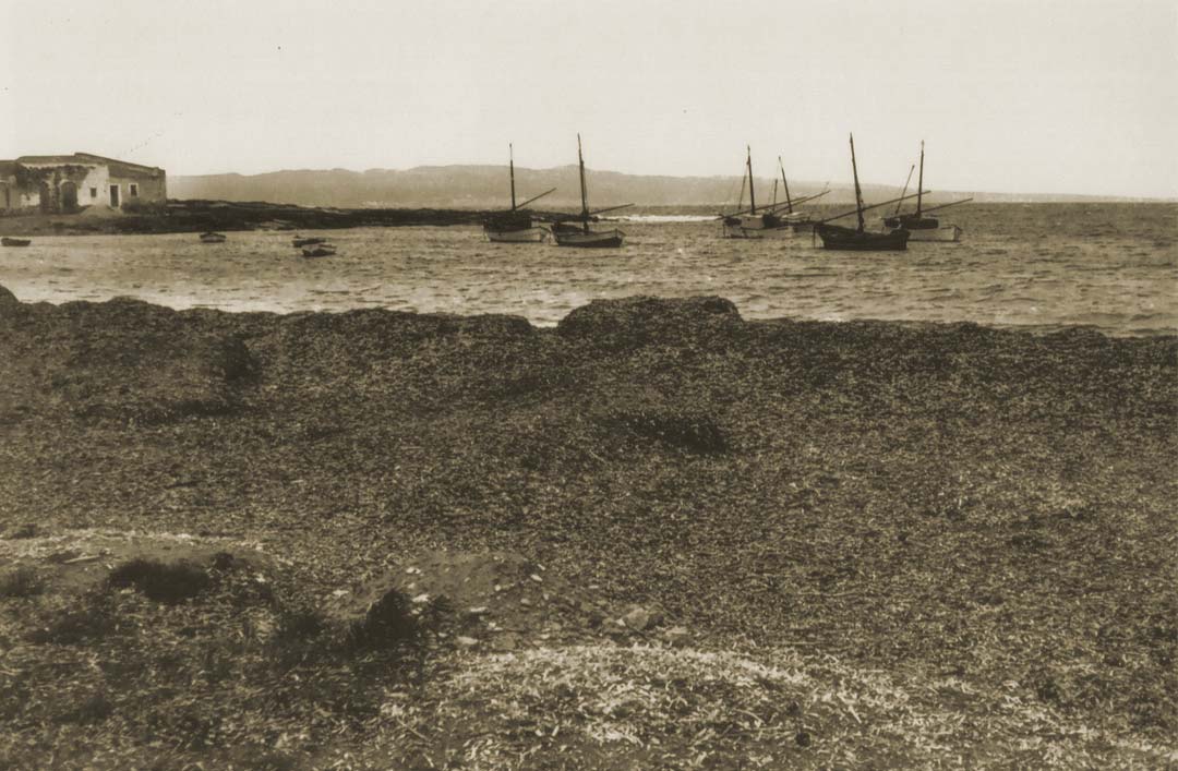 Panorama