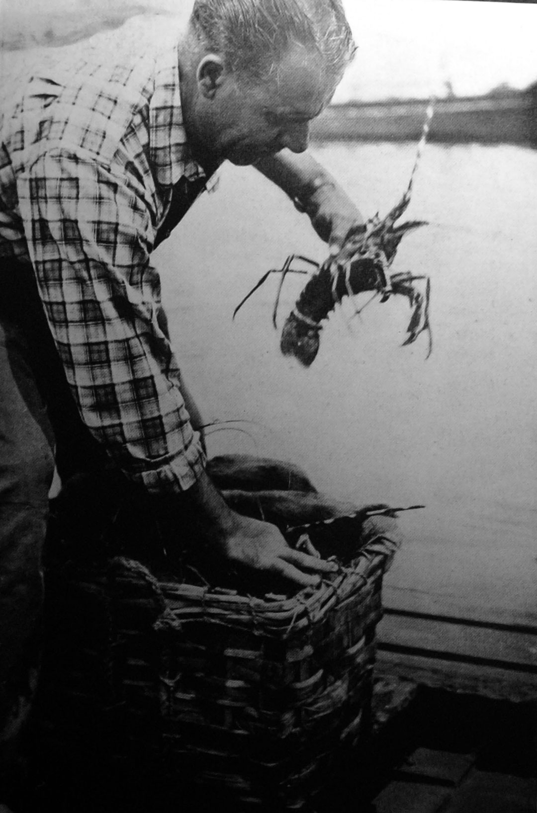 pescatore-e-aragosta