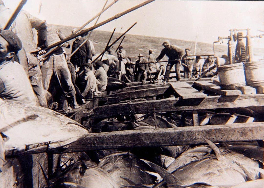 pescatori-sulle-barche-durante-la-mattanza
