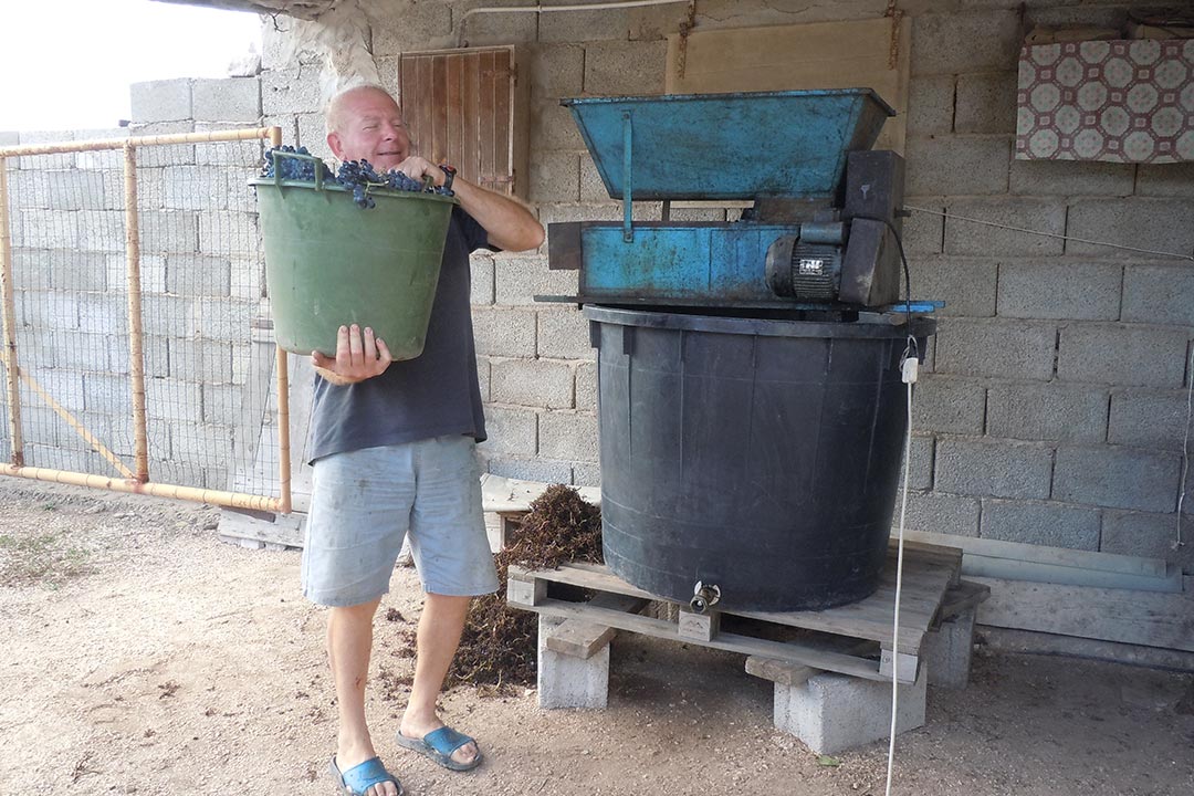 Preparazione del vino in casa