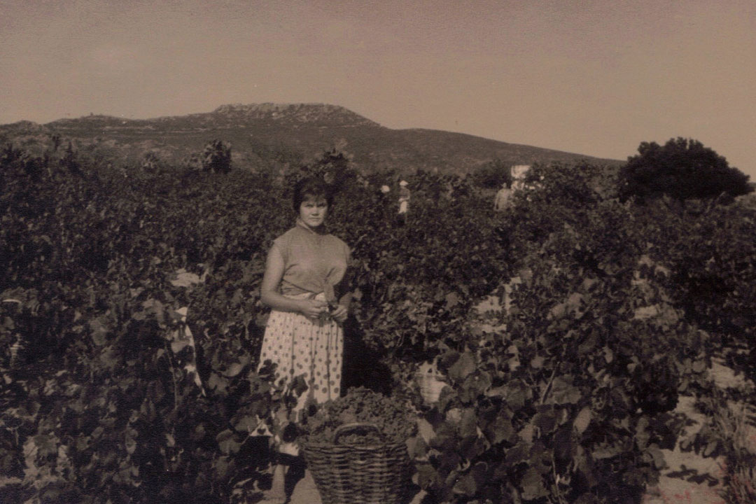Ragazza nel vigneto