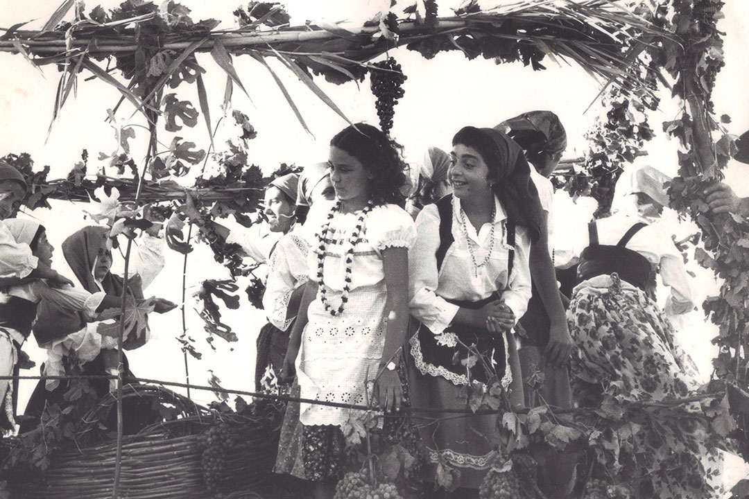 Carro della festa dell'uva