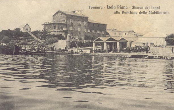 sbarco-dei-tonni-alla-banchina-(primi-1900)