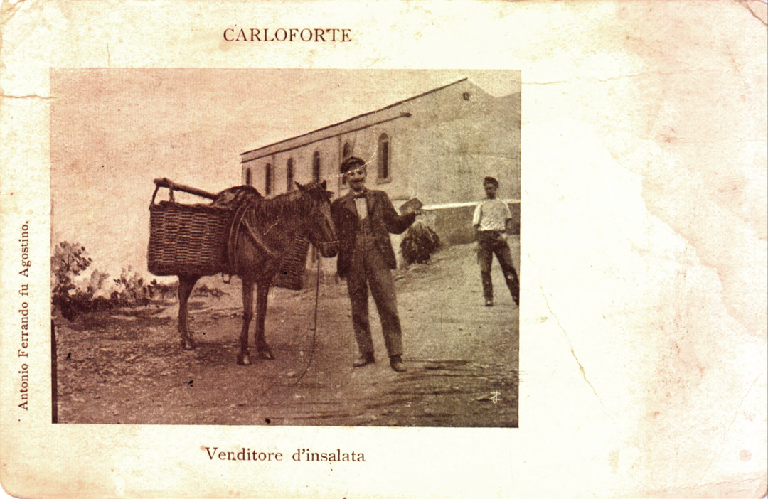 venditore-di-insalata