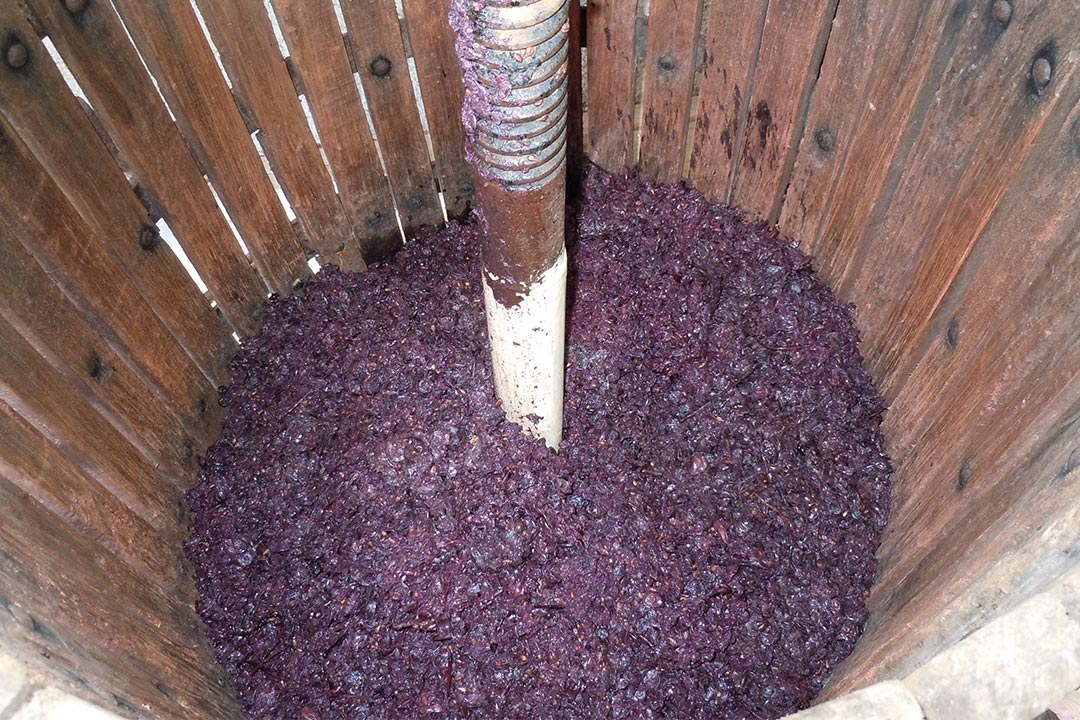 Vinacce
