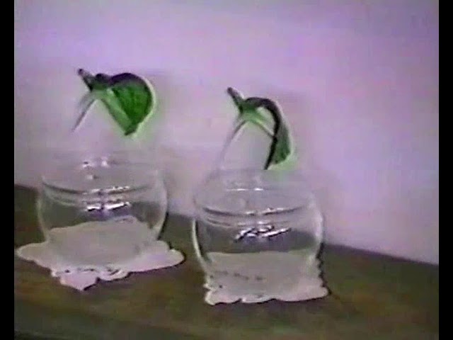Arredi e corredi tabarchini, 1988